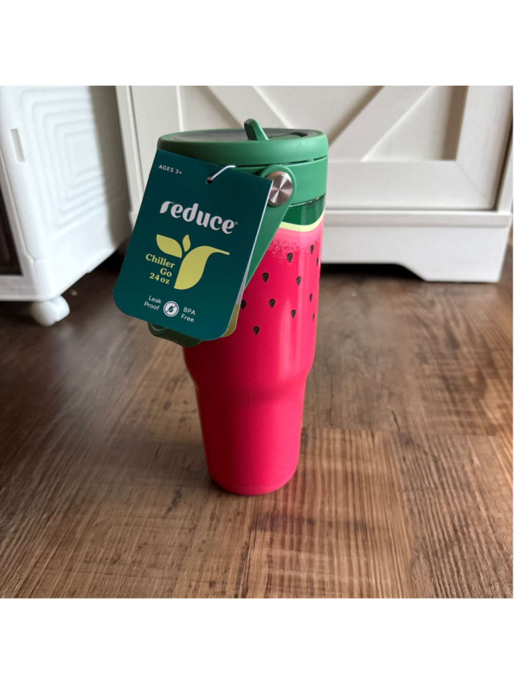 Reduce Chiller Go 24oz Watermelon Print Water Bottle One Size Pink Green